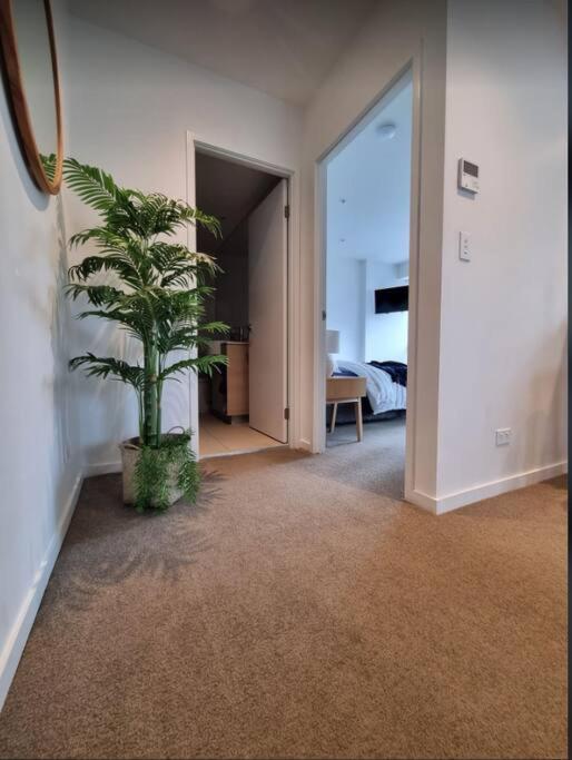 Broadbeach Stunner Modern And Central Gold Coast Exterior foto